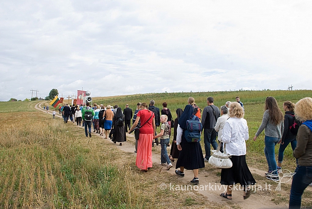 20150830 silines 0385 sk