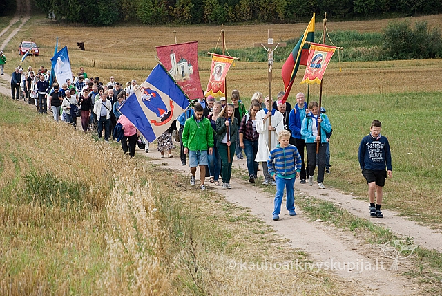 20150830 silines 0392 sk