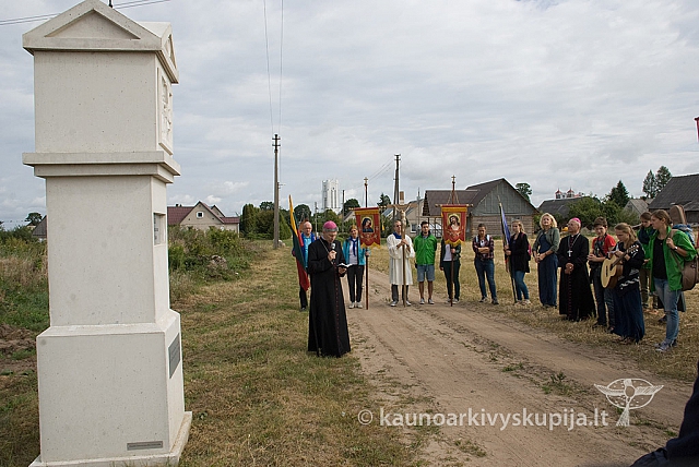 20150830 silines 0426 sk