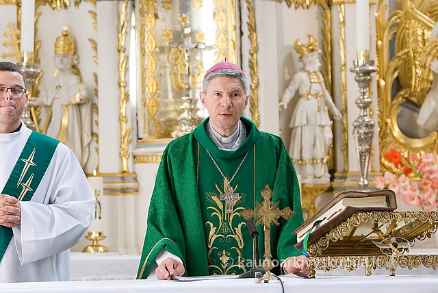 20150830 silines 0563 sk