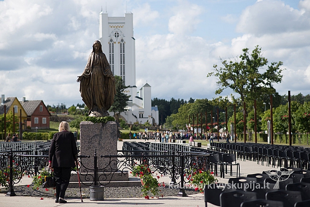 20150906 silines 1963 ms