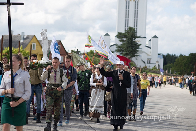 20150906 silines 1971 ms