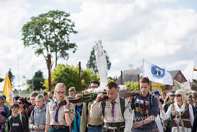 20150906 silines 1972 ms