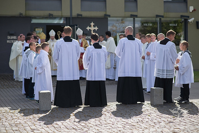 20150906 silines 2032 ms