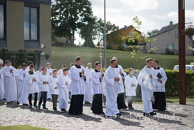 20150906 silines 2038 ms