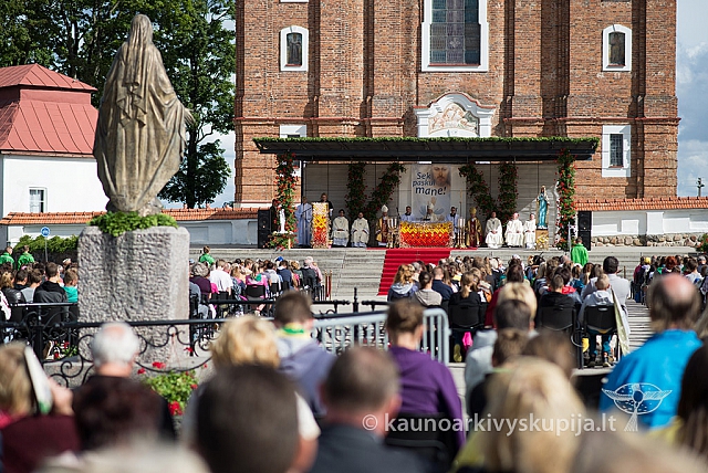 20150906 silines 2060 ms