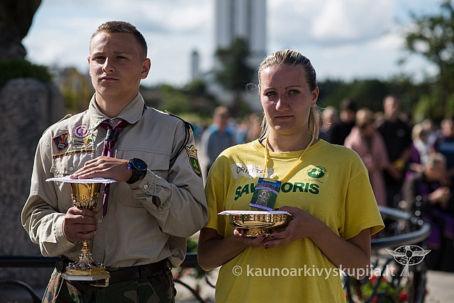 20150906 silines 2071 ms