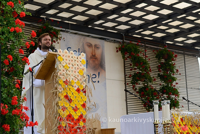 20150907 silines 2226 ms