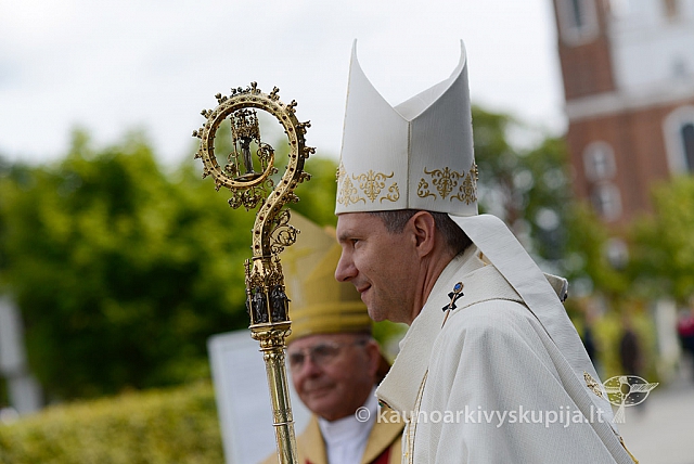 20150907 silines 2241 ms