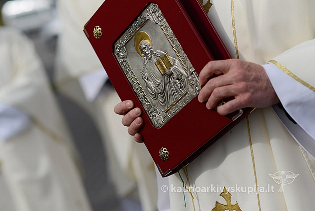 20150907 silines 2243 ms