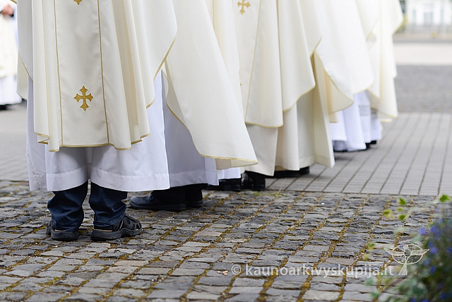 20150907 silines 2250 ms