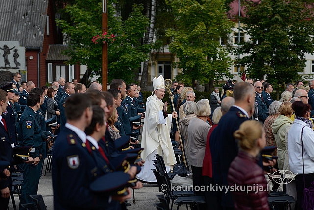 20150907 silines 2265 ms