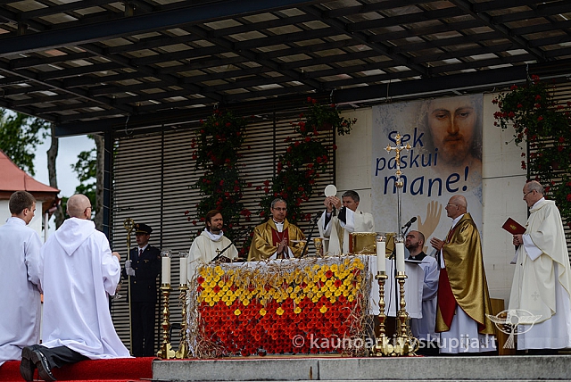 20150907 silines 2358 ms