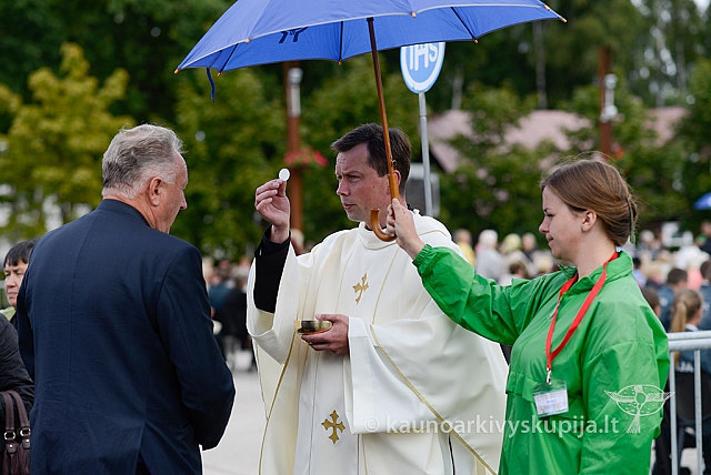 20150907 silines 2378 ms