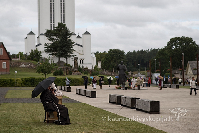 20150908 silines 2604 ms