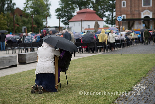 20150908 silines 2605 ms