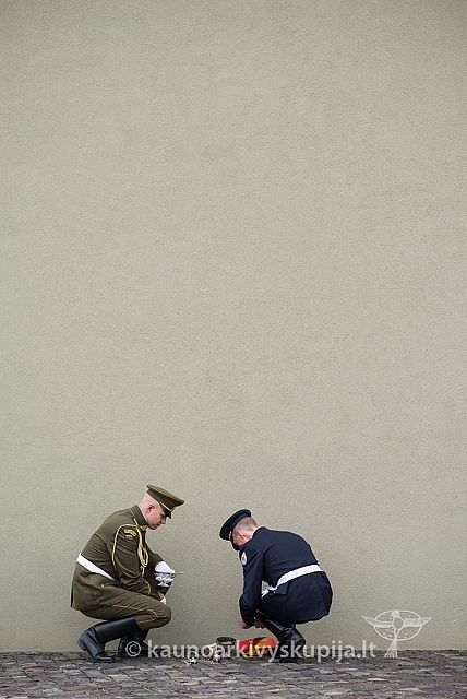 20150908 silines 2623 ms