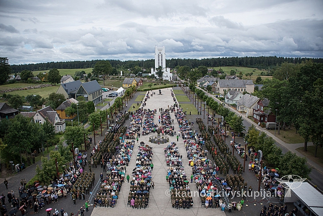 20150908 silines 2703 ms