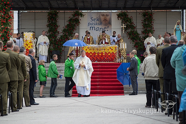 20150908 silines 2771 ms