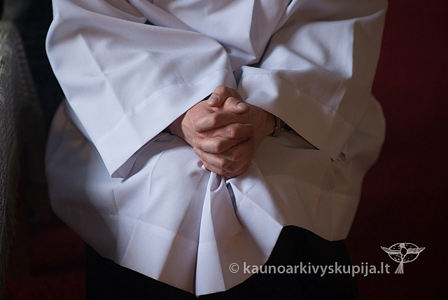 20150908 silines 3009 ms