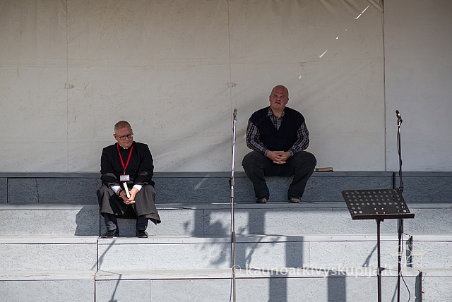 20150909 silines 3046 ms