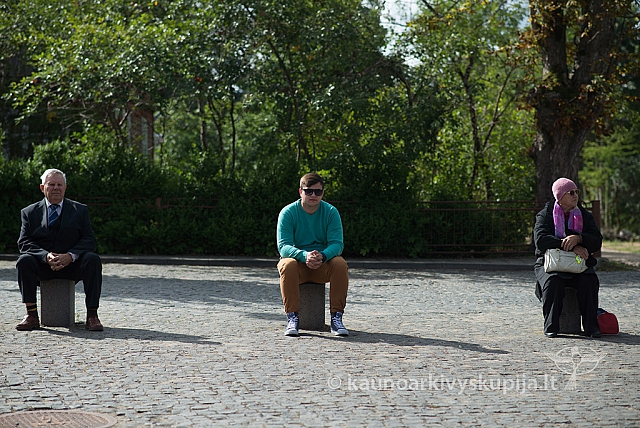 20150909 silines 3048 ms