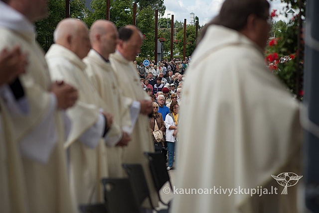 20150909 silines 3109 ms