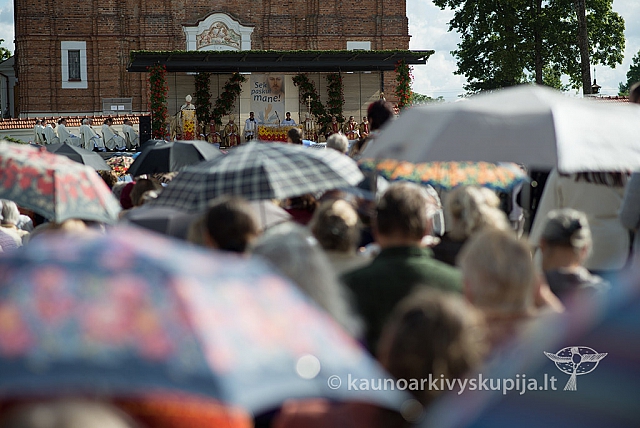 20150909 silines 3119 ms