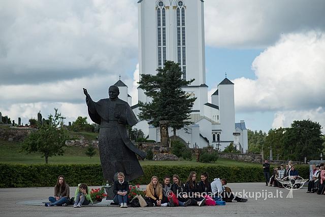 20150909 silines 3123 ms