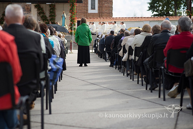 20150909 silines 3131 ms