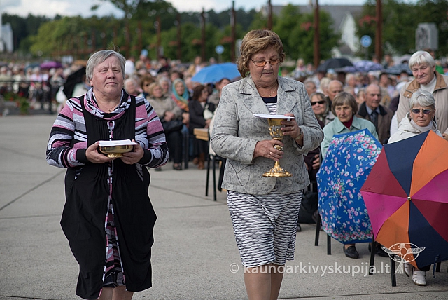 20150909 silines 3139 ms