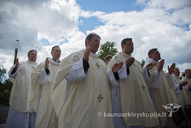 20150909 silines 3158 ms