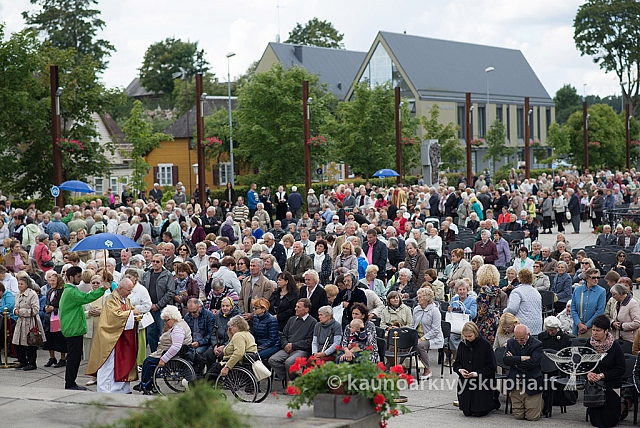 20150909 silines 3178 ms