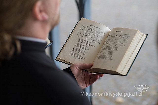 20150909 silines 3182 ms