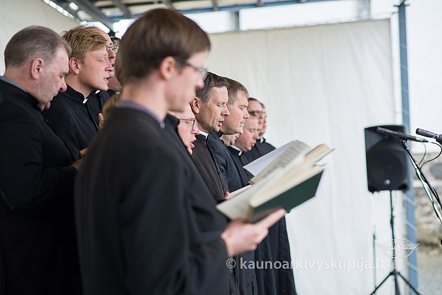 20150909 silines 3185 ms