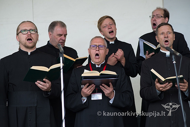 20150909 silines 3189 ms