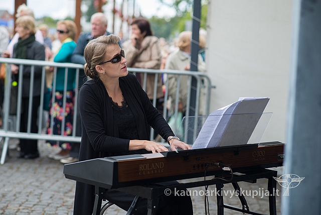 20150909 silines 3193 ms