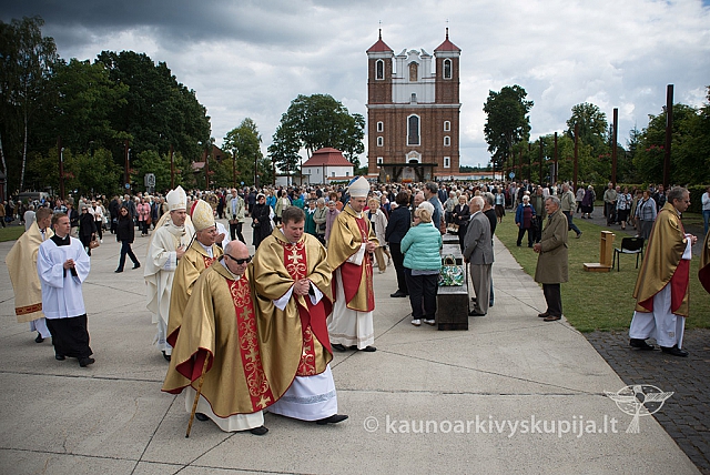 20150909 silines 3220 ms