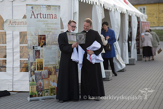 20150909 silines 3259 ms