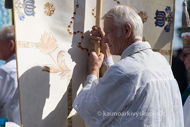 20150910 silines 3304 ms