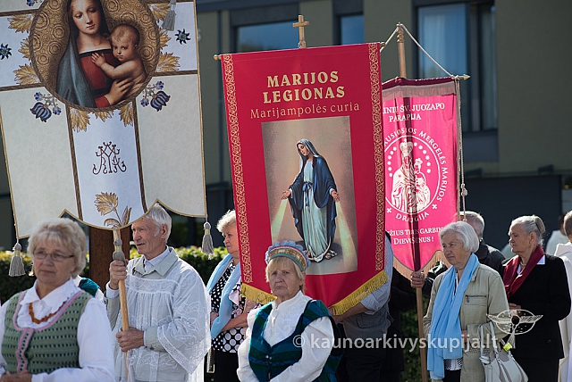 20150910 silines 3312 ms