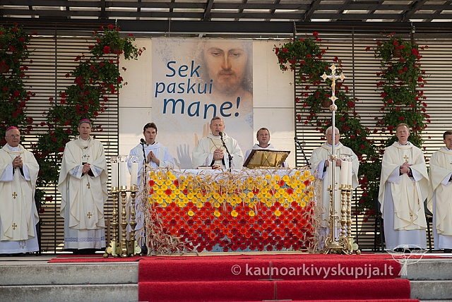 20150910 silines 3387 ms