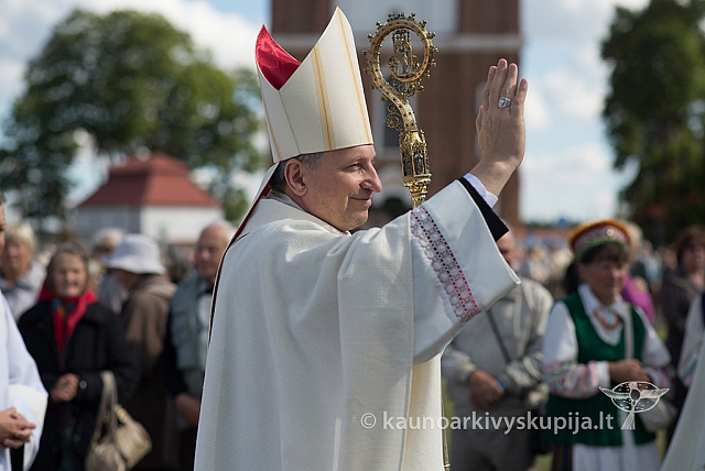 20150910 silines 3489 ms