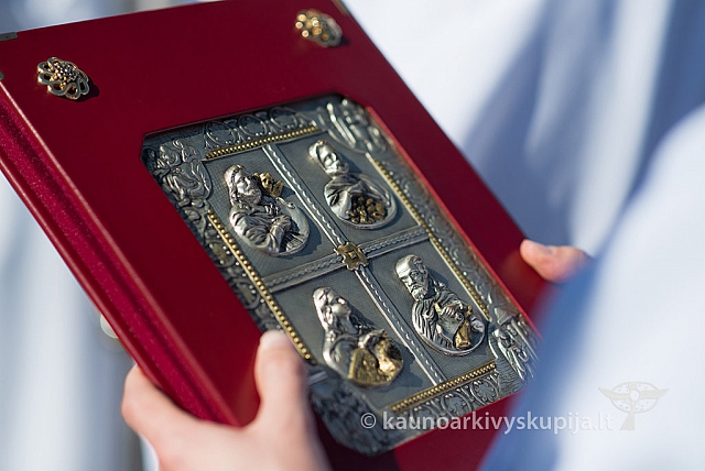 20150911 silines 3643 ms