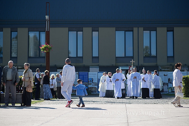 20150911 silines 3648 ms