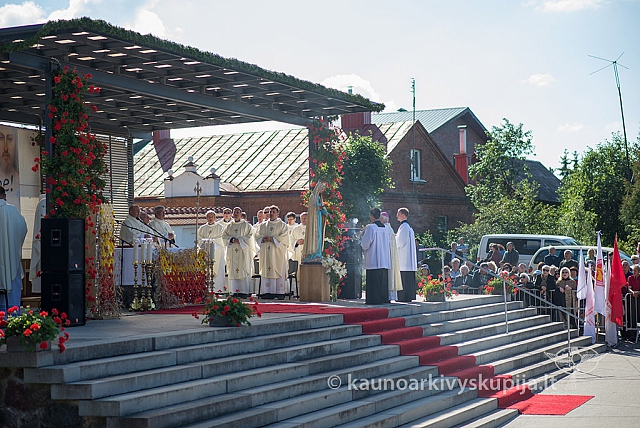 20150911 silines 3676 ms