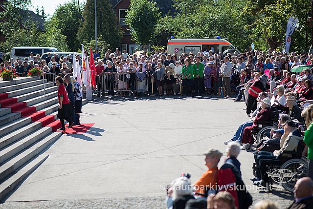 20150911 silines 3679 ms