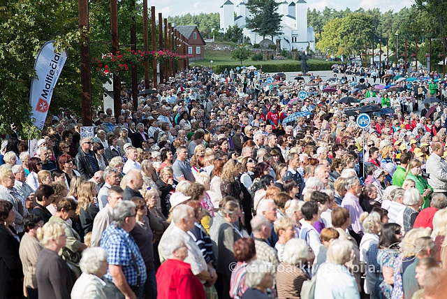 20150911 silines 3682 ms