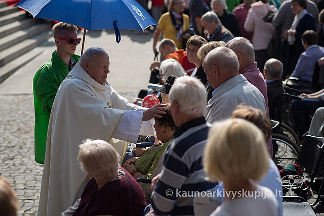 20150911 silines 3761 ms