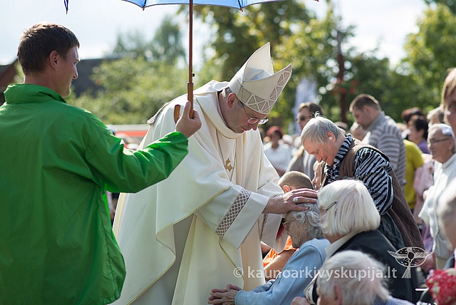 20150911 silines 3776 ms